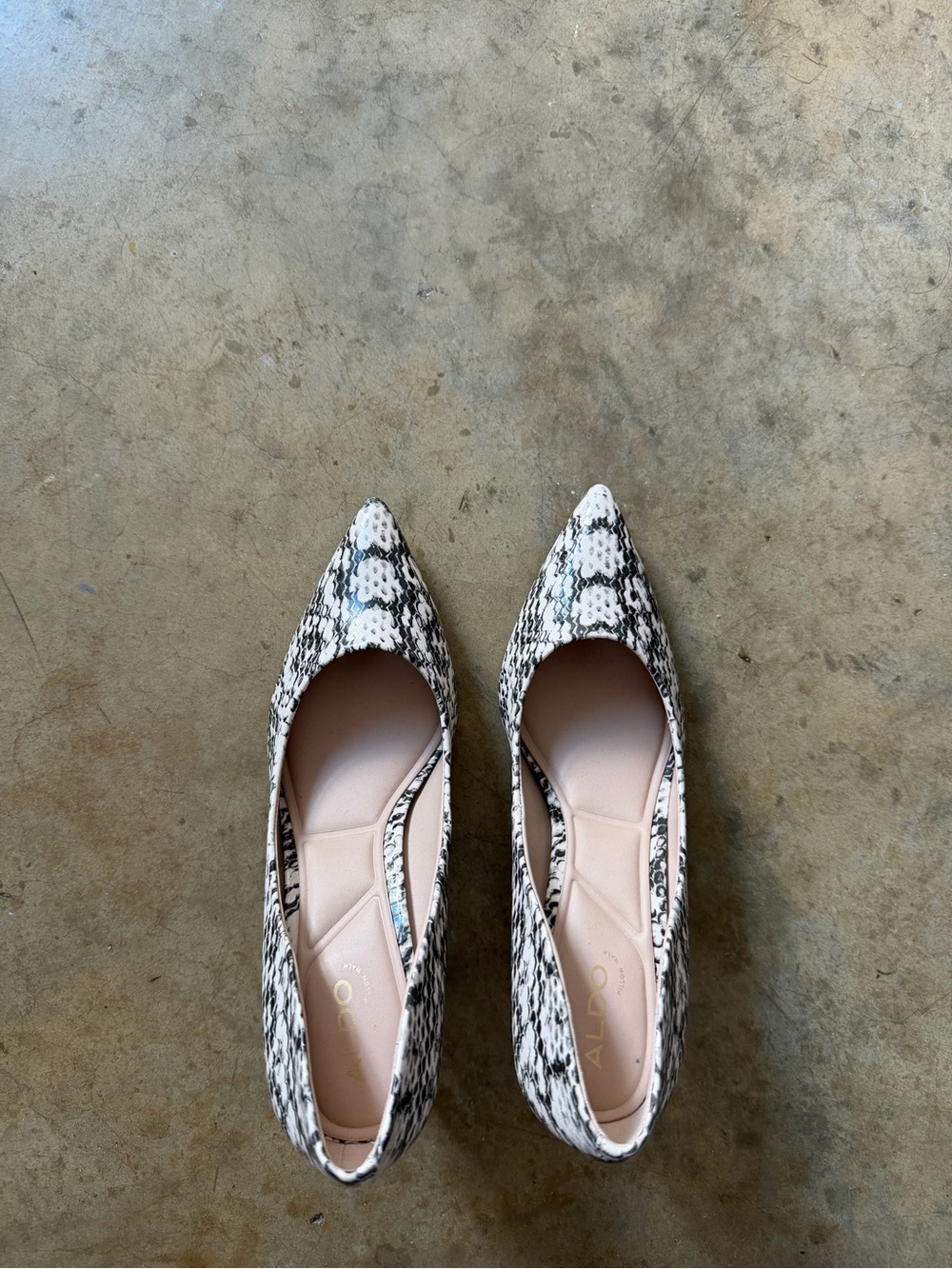Aldo Pointed-Toe Snake-Print Flats in Black and White